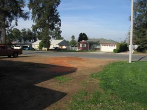 tree fall 013.JPG